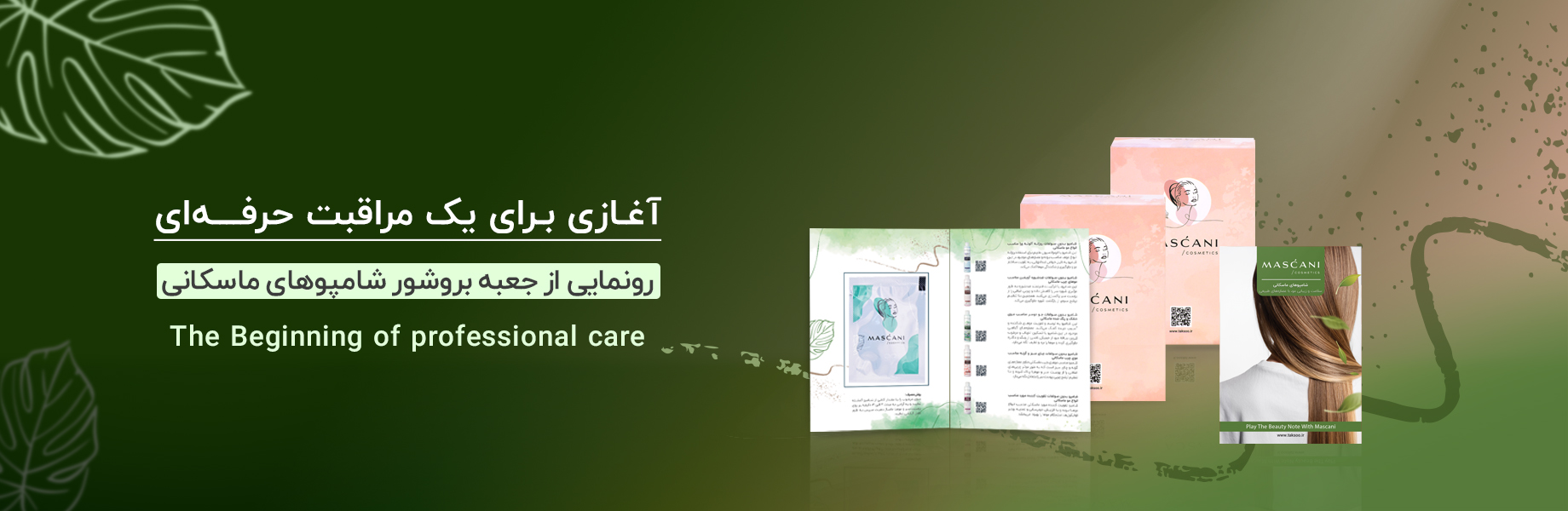 جعبه بروشور شامپوهای ماسکانی